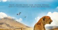 Serengeti streaming