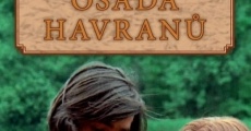 Osada havranu (1978)