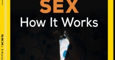 Sex: How It Works (2013)