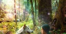 Película Shana: The Wolf's Music