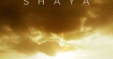 Shaya