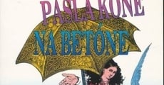 Pásla kone na betóne (1982)