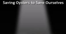 Película SHELLSHOCKED: Saving Oysters to Save Ourselves