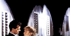 Silver City (1984)