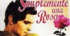 Simplemente una rosa (1971) stream