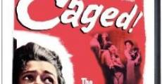 Caged (1950) stream