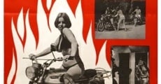 Sisters in Leather (1969) stream