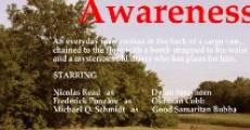 Situational Awareness (2013)