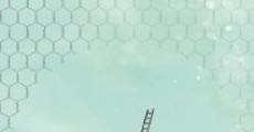 Sleep Fragments film complet