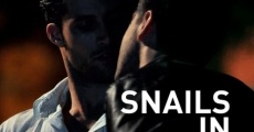 Snails in the Rain film complet
