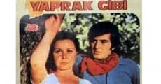 Filme completo Solan Bir Yaprak Gibi