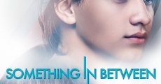 Something in Between (2018)