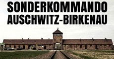 Película Sonderkommando Auschwitz-Birkenau