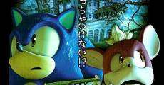 Ver película Sonic: Night of the Werehog