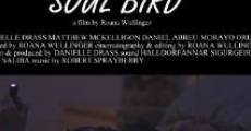 Película Soul Bird