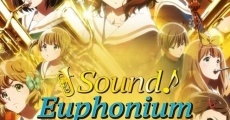 Gekijoban Hibike! Euphonium: Chikai no Finale (2019) stream