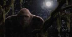 Southern Fried Bigfoot (2007) stream