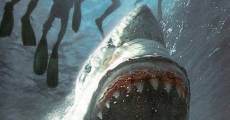 Raging Sharks - Killer aus der Tiefe streaming