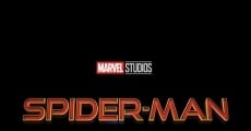 Spider-Man: No Way Home