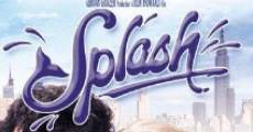 Splash (1984) stream