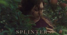 Splinters