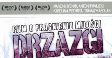 Filme completo Drzazgi