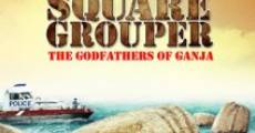 Square Grouper