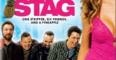 Stag (2013)