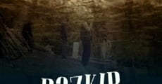 Bozkir film complet