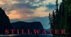 Película Stillwater