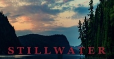 Película Stillwater