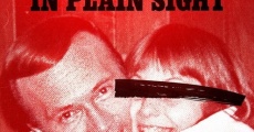 Abducted in Plain Sight streaming