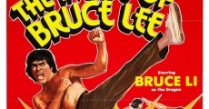 Bruce Lee - Der reißende Puma