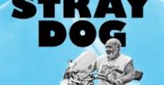Stray Dog film complet