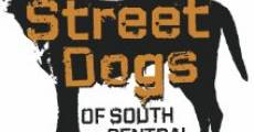 Película Street Dogs of South Central