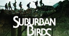 Suburban Birds