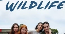 Filme completo Suburban Wildlife