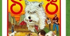 Summerdog (1977)
