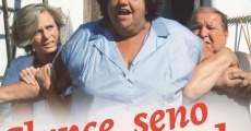 Slunce, seno a pár facek (1989)