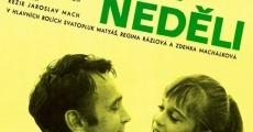 Tatínek na nedeli (1971)