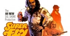 Super Fly T.N.T. (1973)