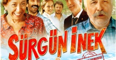 Película Sürgün Inek