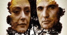 Tajrish... an unfinished story streaming