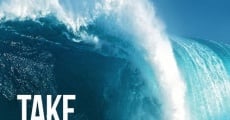 Take Every Wave: The Life of Laird Hamilton