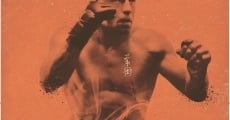 Takedown: The DNA of GSP streaming