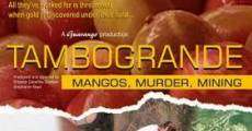 Película Tambogrande - Mangos, Muerte, Minería