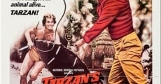 Tarzan's Deadly Silence (1970) stream