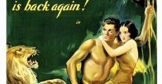 Tarzan and His Mate (1934) stream