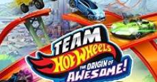 Team Hot Wheels: The Origin of Awesome!