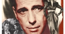 To Have and Have Not (1944) stream